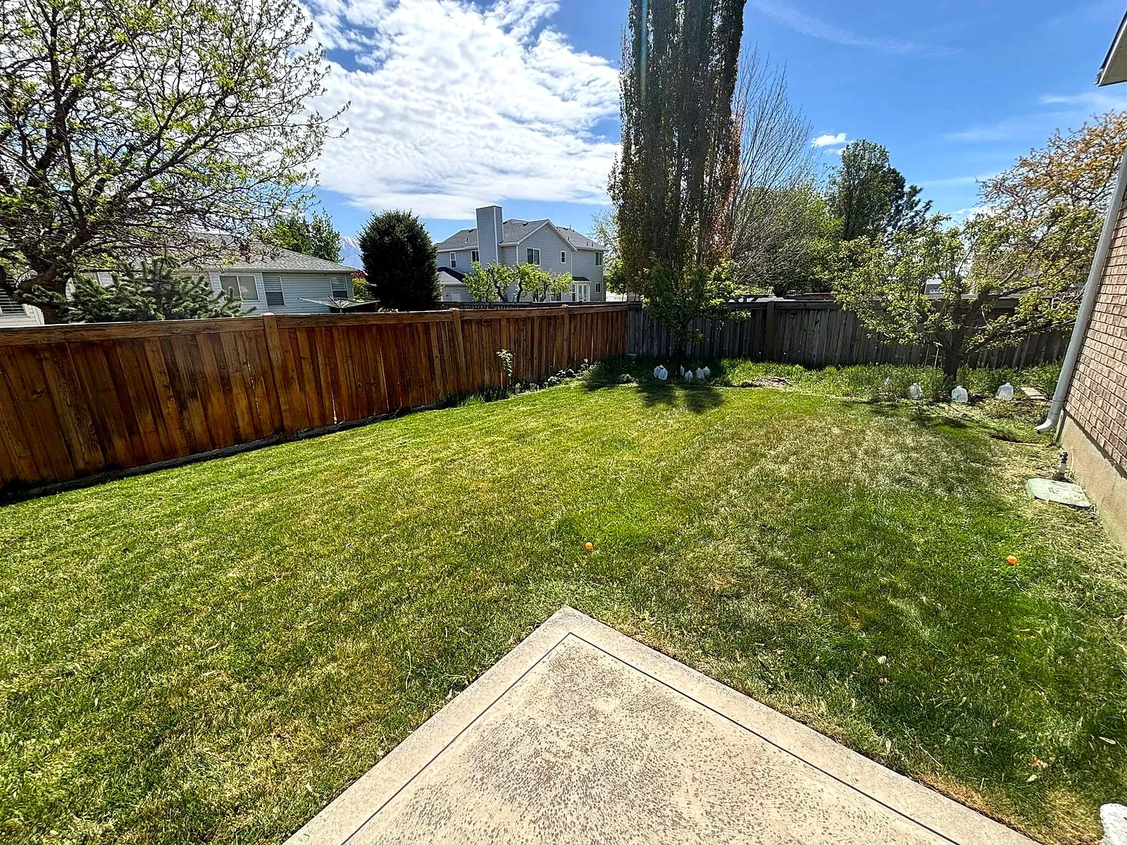 A trimmed green backyard lawn seen from the patio, bordered by a cedar fence, finished by Taylor’d Lawn Care