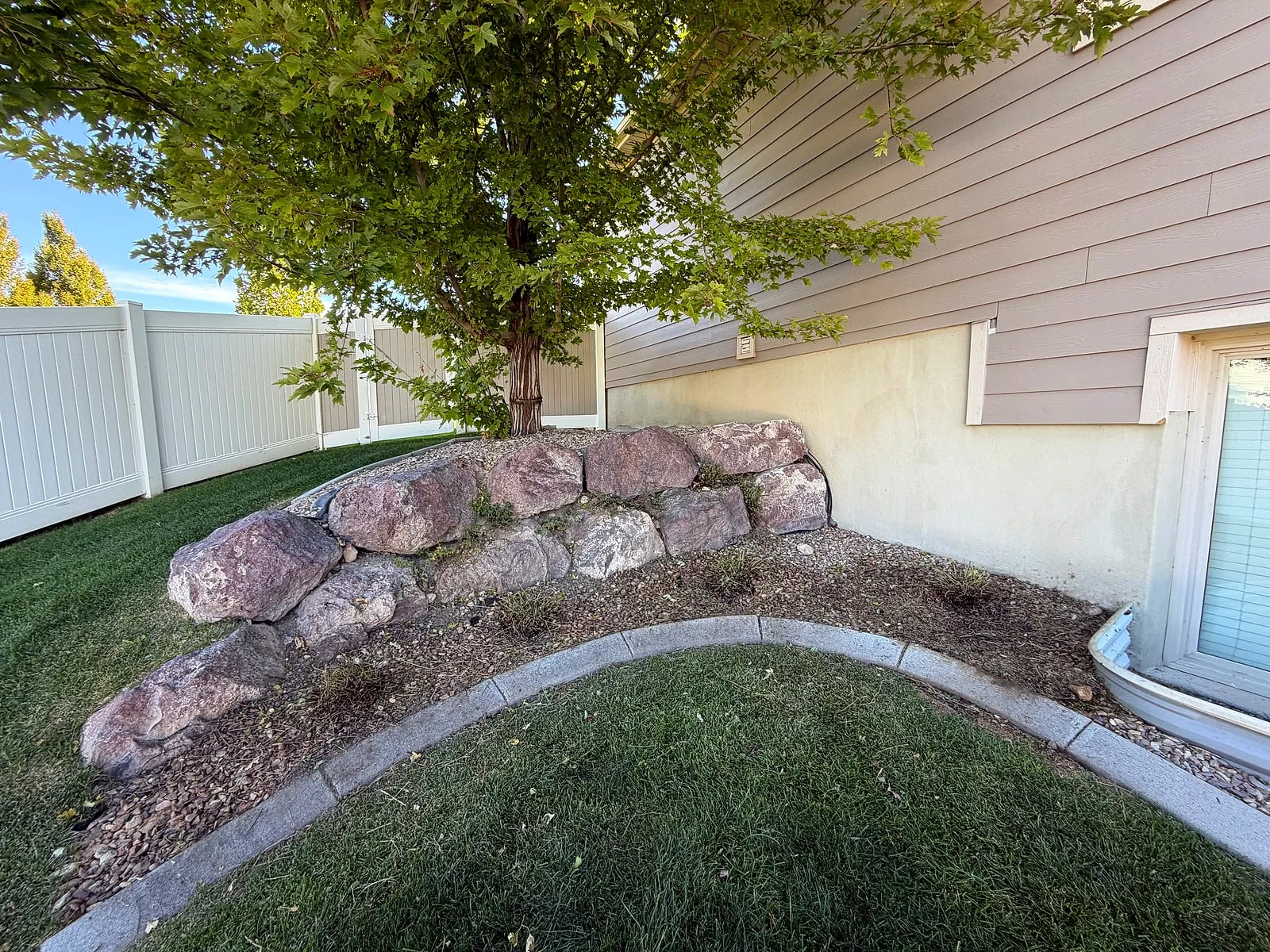 A boulder bed under a tree with fresh mulch and a curved concrete border beside the lawn, cared for by Taylor’d Lawn Care