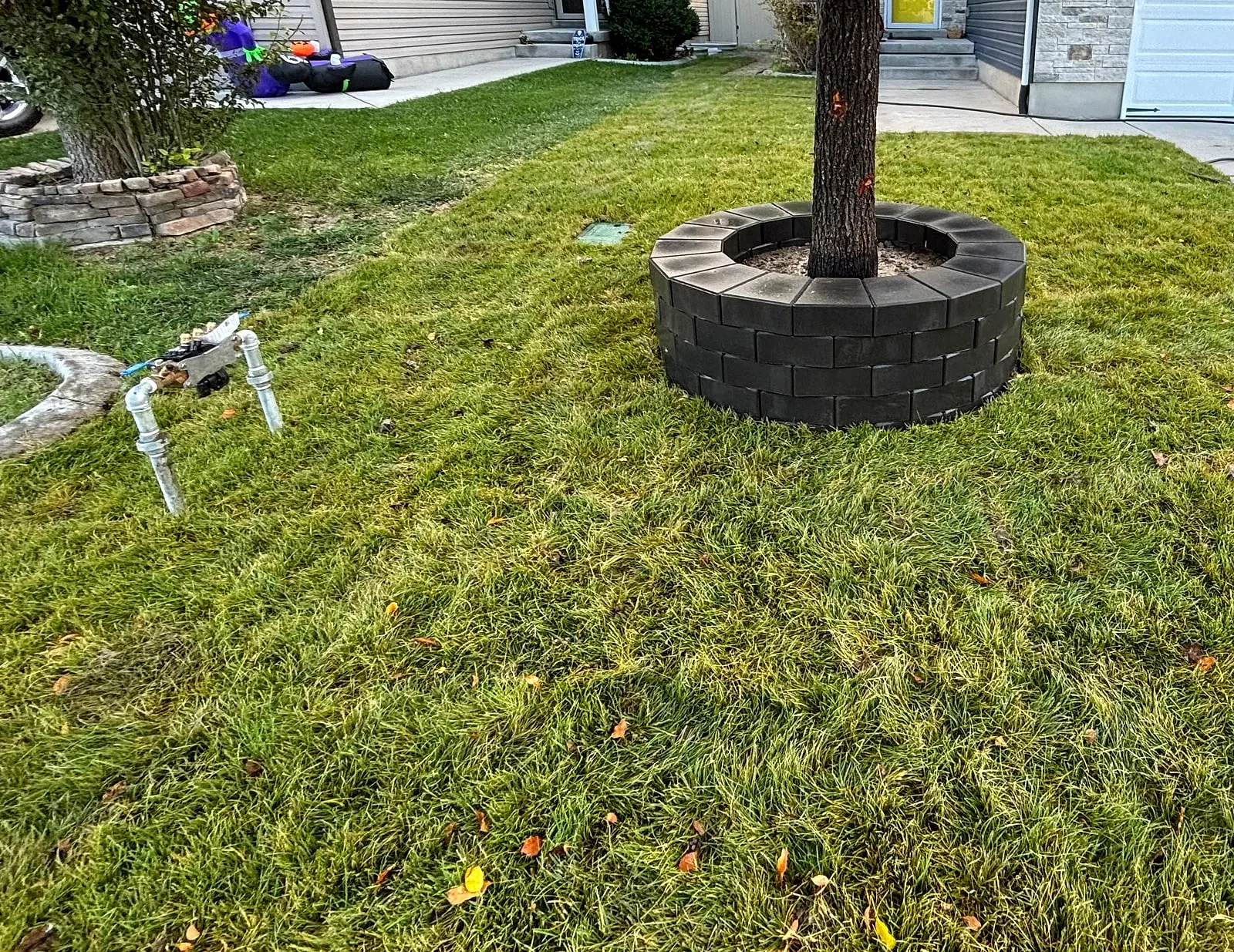 A front-yard tree circled by a new ring of grey retaining blocks on a mowed lawn, built by Taylor’d Lawn Care